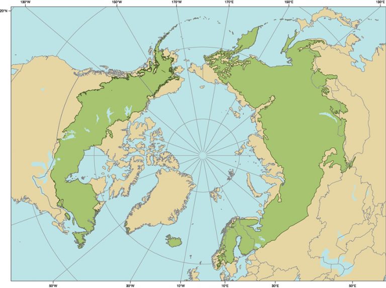 En vert: limites de la forêt boréale (source : Ressource Naturelle Canada, basé sur Avrenko and Sochava 1954, Ahti et al. 1968, Denisov 1970, and Kurnaev 1990 ; l’Amérique du Nord est celle de Brandt 2009 ; https://www.rncan.gc.ca/forets/boreale/18207)