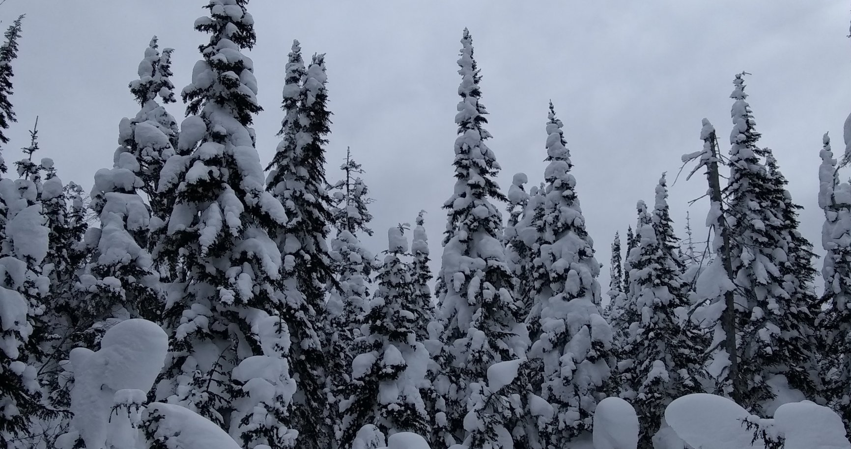 La vallée des fantômes sous la neige